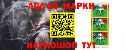 трава Кандалакша