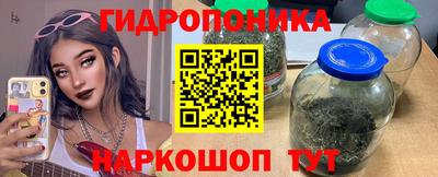 трава Кандалакша