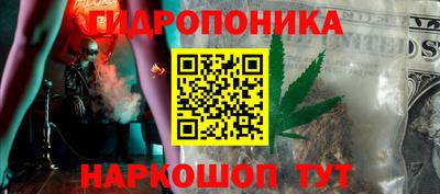 молекула духа Камышлов