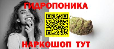 трава Кандалакша