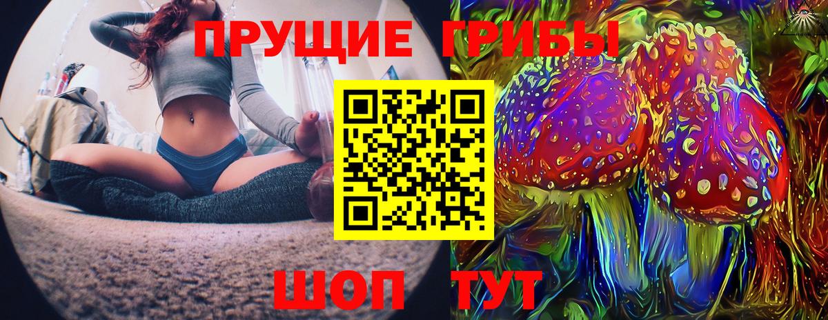 Галлюциногенные грибы Cubensis  Вход с VPN  продажа наркотиков  Курчалой 